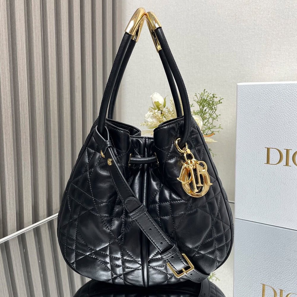 Medium D10r Nolita Bag