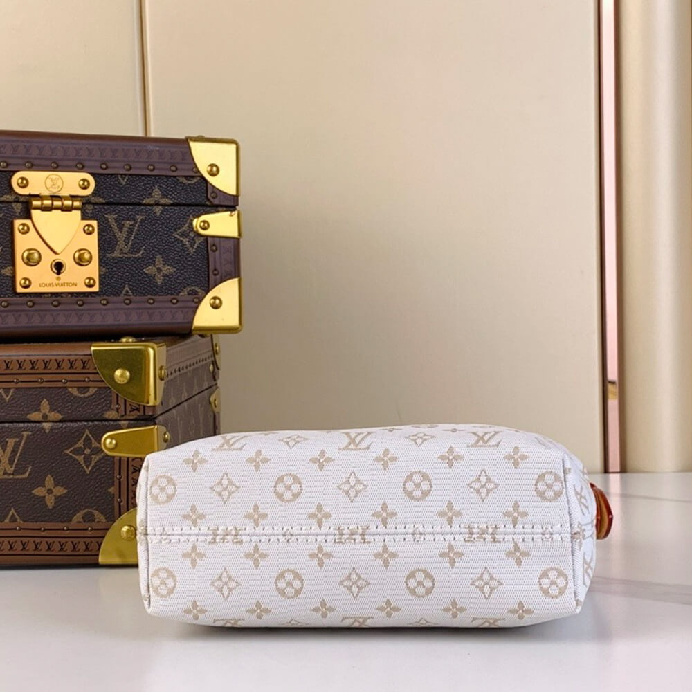 LV Hills Pochette