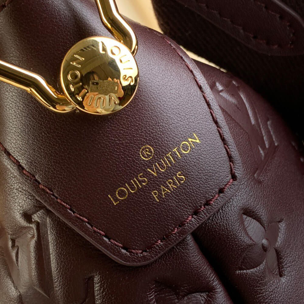 LV Coussin Hobo MM(HIGH-END GRADE)
