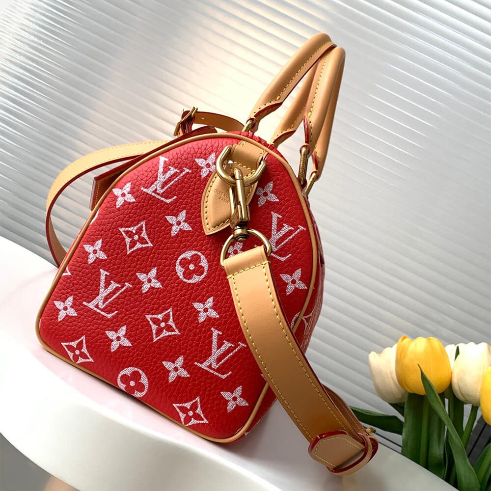 LV Speedy P9 Bandouliere 25