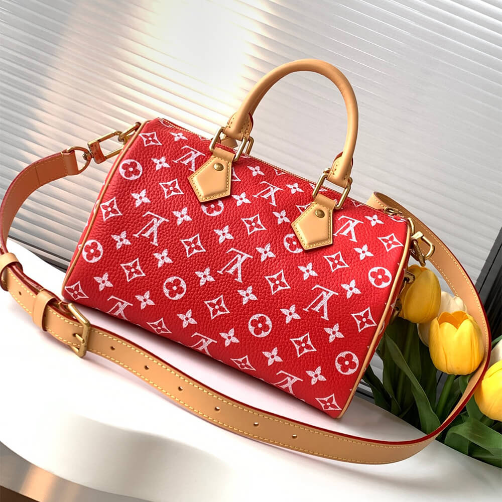 LV Speedy P9 Bandouliere 25