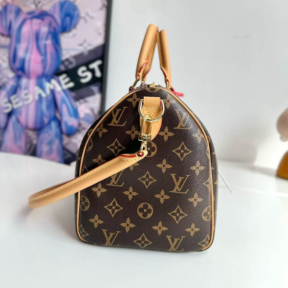 LV Speedy Soft 30 Crafty